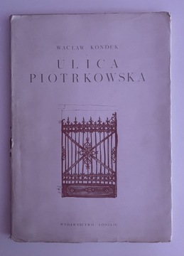 Książka album Łódź Ulica Piotrkowska architektura