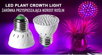 ŻARÓWKA LED DO UPRAWY ROŚLIN GROW 5W E27