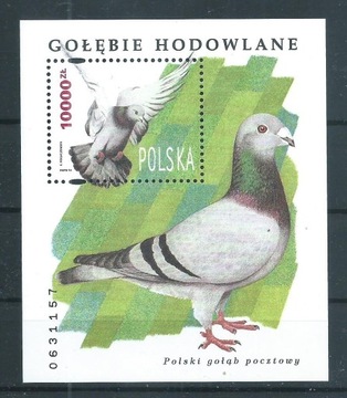 bl.156 (3367) Gołębie hodowlane