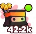 30x Ninja Maskot Rainbow 42.2k - Pet simulator 99