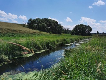 Malownicza działka Siedliskowa Tofiłowce 3300m