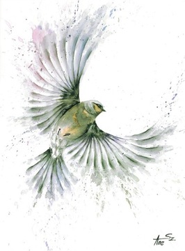 Obraz akwarela ptak w locie 30x40