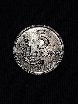 5 groszy 1949 rok próba prl Polska wykopki monet