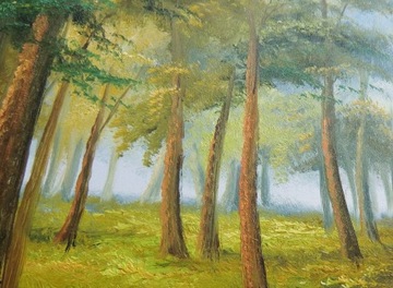 OBRAZ OLEJNY - The Forest, 65x55cm