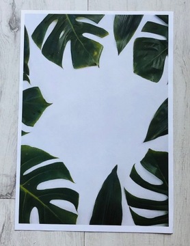 Obraz plakat liście zielony tropikalny natura 21 x