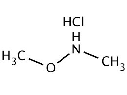Chlorowodorek N, O-dimetylohydroksyloaminy 1 g