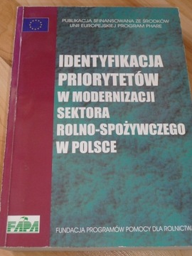 IDENTYFIKACJA PRIORYTETÓW W MODERNIZACJI SEKTORA