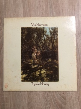 Van Morrison Tupelo Honey USA 1971 EX+++ Plakat
