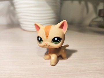 Littlest Pet Shop kot Shorthair #1905 oryginal LPS