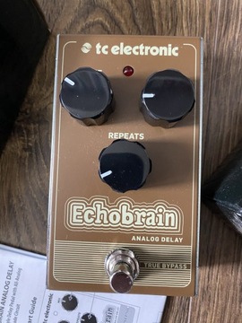 TC Electronic Echobrain efekt analog delay