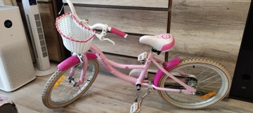 Rower dla dziewczynki Dutch Goose 20"