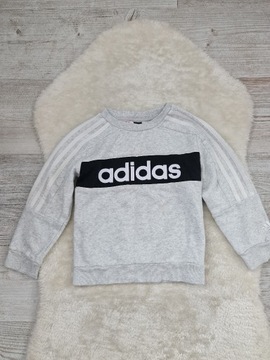 Bluza Adidas Rozmiar 110 - 116 na Wiek 5 a 6 lat 