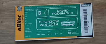 Dawid Podsiadło Chorzów 22.06.2024 Trybuna