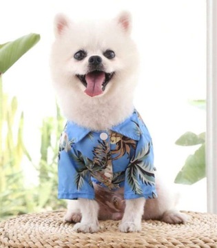 Koszula wakacyjna ubranko dla psa