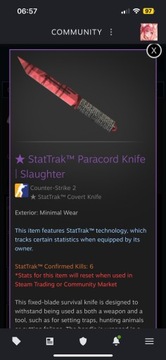 StatTrak Paracord Knife | Slaughter csgo skin