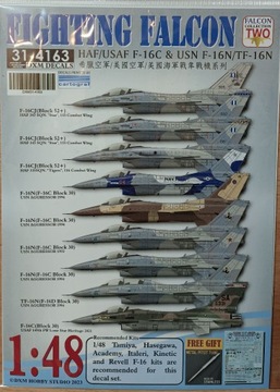 kalkomania F-16C / F-16N DXM DECALS 1/48