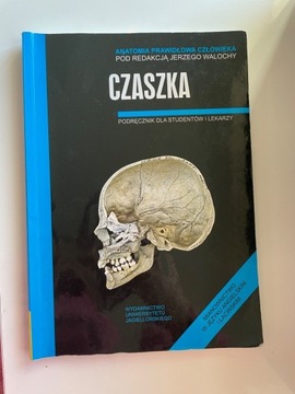 Anatomia Skawina Czaszka