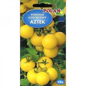 sadzonka pomidor koktajlowy AZTEK