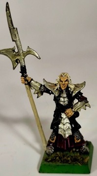 Warhammer Dark Elves - Black Guard of Naggaroth 14