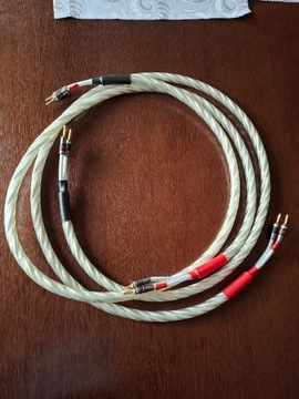 Kable głośnikowe QED Signature Genesis Silver Spiral  2 x 2.0m