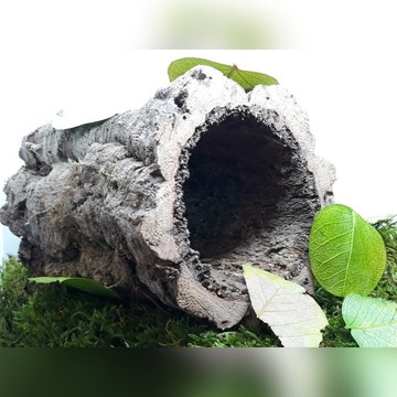 KORA DĘBU XL 40x15 cm TUBA KRYJÓWKA TERRARIUM