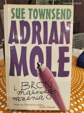 Adrian Mole i Broń masowego rażenia 