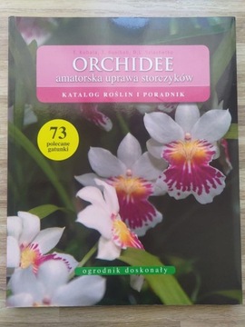 ORCHIDEE amatorska uprawa storczyków