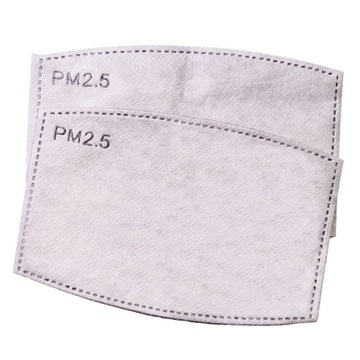 Filtr PM 2.5 x10szt