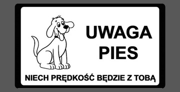 Tabliczki ostrzegawcze uwaga zły pies duży wybór