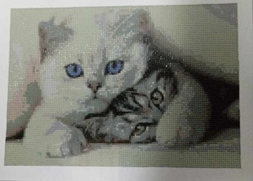 Obraz koty 5D wykonany 