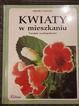 Kwiaty w mieszkaniu