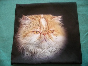 Kot perski pers poszewka powłoczka na poduszkę 