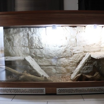 Terrarium Jaszczurka wąż duże + półki i konary 