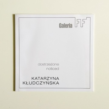 Katalog: Katarzyna Kłudczyńska. Dostrzeżone