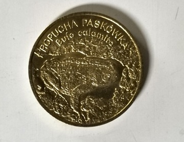 kolekcja monet 2 zł okolicznościowe 1998r
