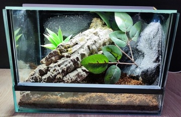 Terrarium dla pająka owadów 30x20x20