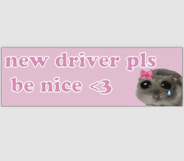 Magnes na auto new driver please be nice