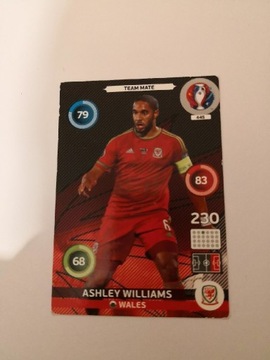 UEFA EURO 2016  Ashley Williams team mate #445
