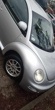 New beetle-garbus