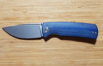 Nóż PETRIFIED FISH - Beluga / Blue Micarta