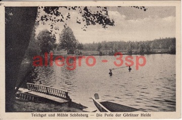 Schönberg Die Perle der Görlitzer Heide Piaseczna