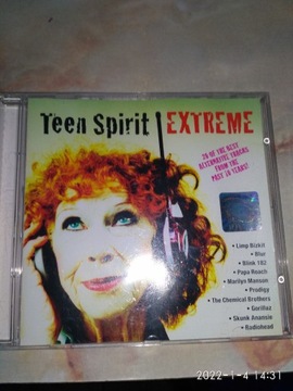 Teen Spirit Extreme The Best of Energy - płyta CD