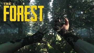 the forest steam