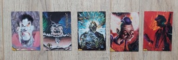 Karty kolekcjonerskie DC Comics SKYBOX 