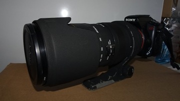 Obiektyw Sigma 50-500mm f/4-6.3 APO EX DG (Sony)