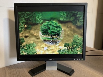 Monitor Dell - E197FP