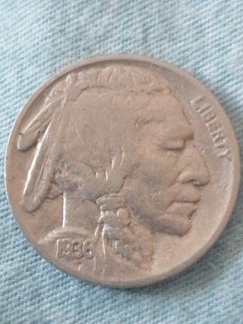 5cent bizon 1936 (ładny) 