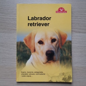 Labrador Rietriever. Pies na medal