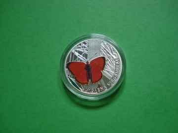 1$-2010-Motyl-Czerwończyk-Dukacik.
