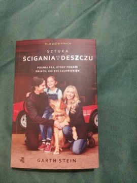 Sztuka ścigania się w deszczu - Garth Stein